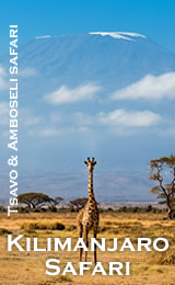 4 Days Tsavo East, Tsavo West and Amboseli Safari